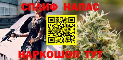 МДПВ Краснознаменск