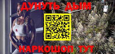 дмт Краснодар