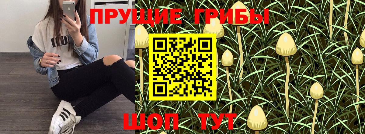 Псилоцибиновые грибы мицелий  Вход с VPN  Галлюциногенные грибы MAGIC MUSHROOMS  Торжок 
