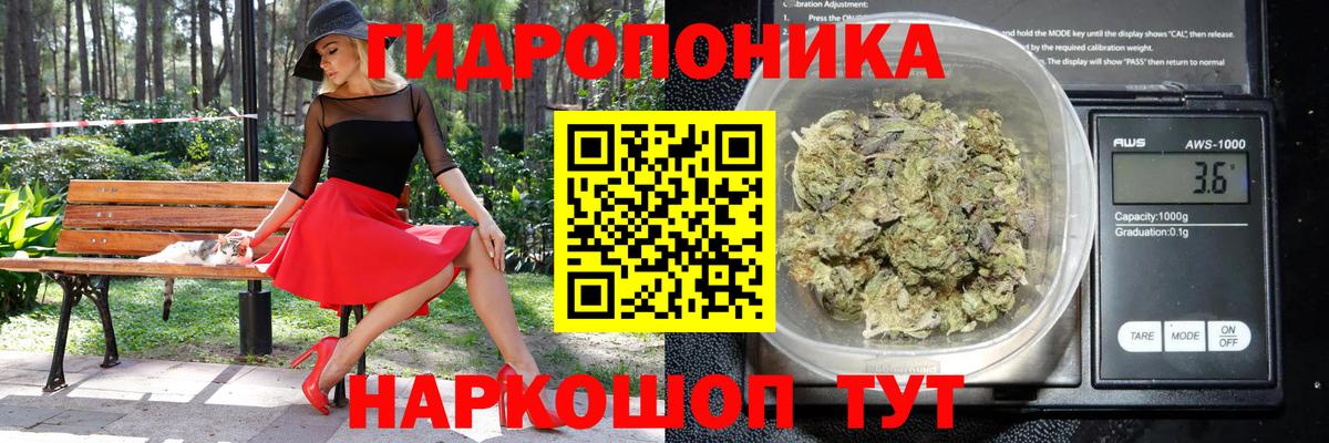 Марихуана план Торжок